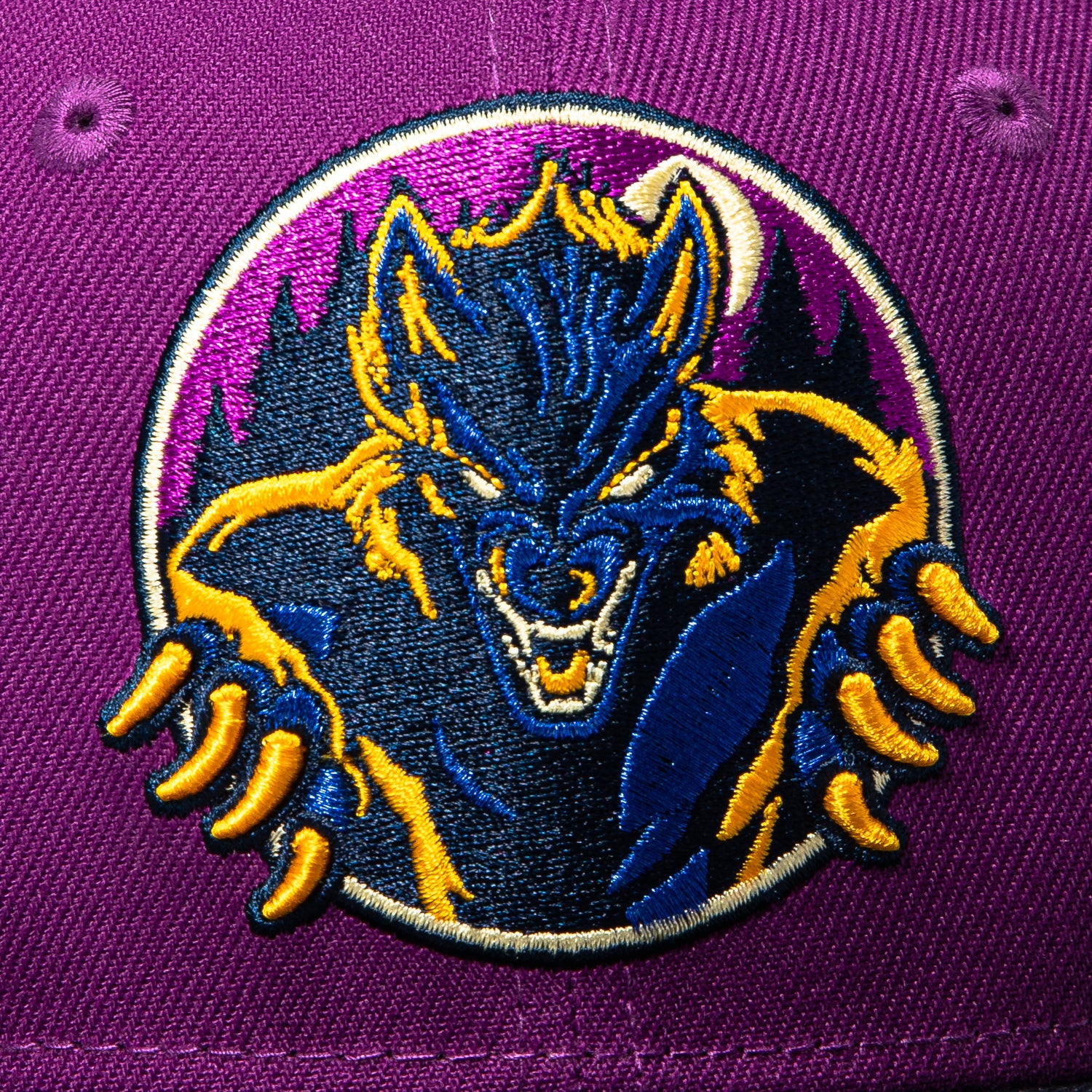 New Era 59Fifty Great Lakes Loons Dogmen Hat - Purple, Navy - Image 4