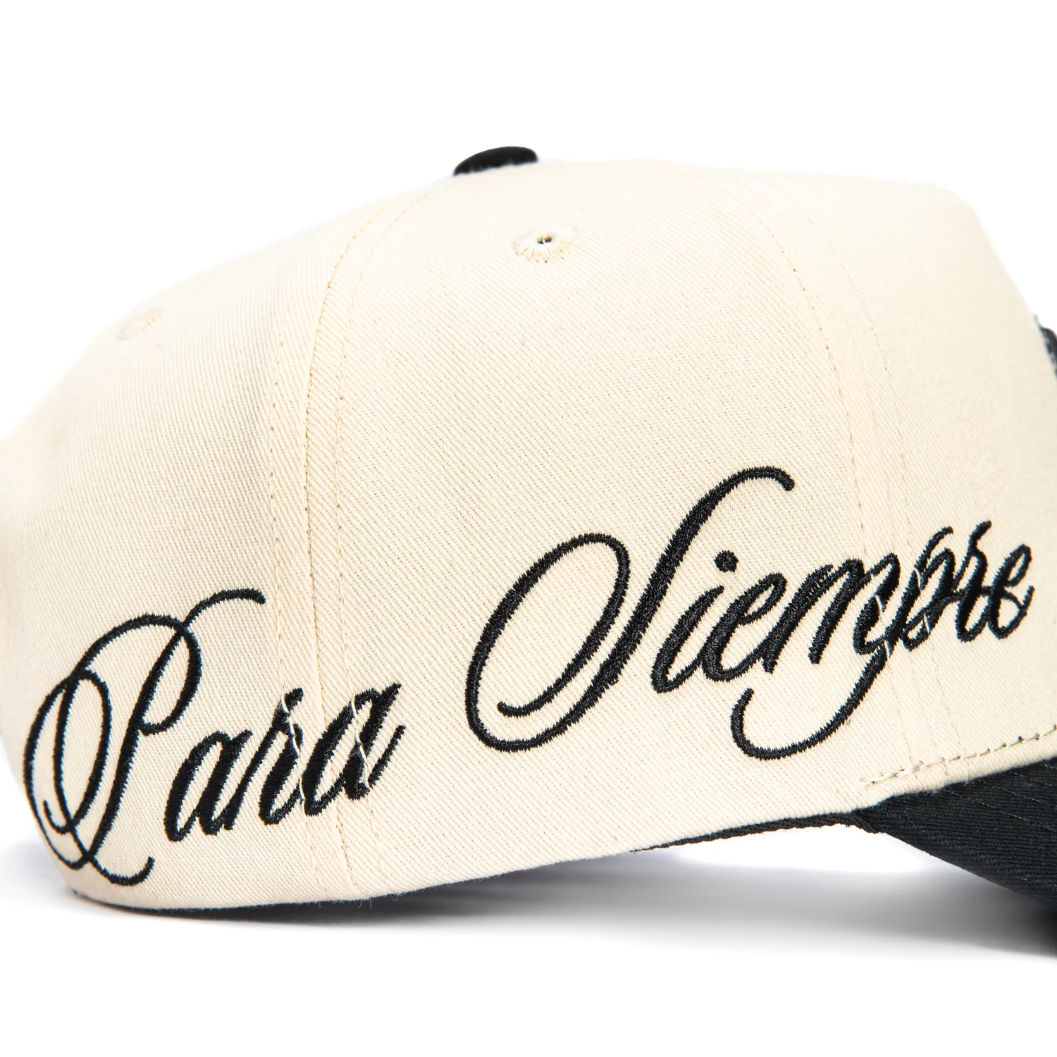 Sworn To Us Poetry in Motion Snapback Hat - Natural, Black - Image 4
